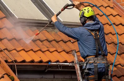 Démoussage et hydrofuge de toiture à Bergesserin